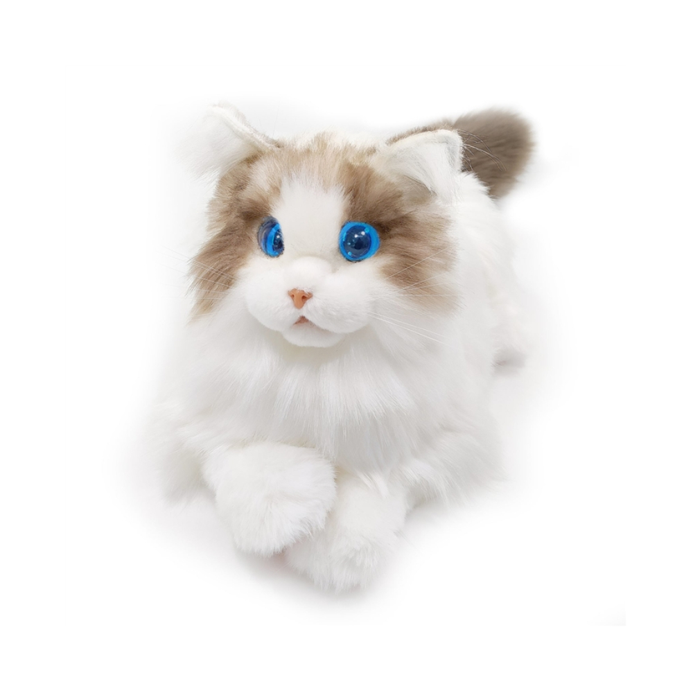 Кот-робот. Elephant Robotics MetaCat